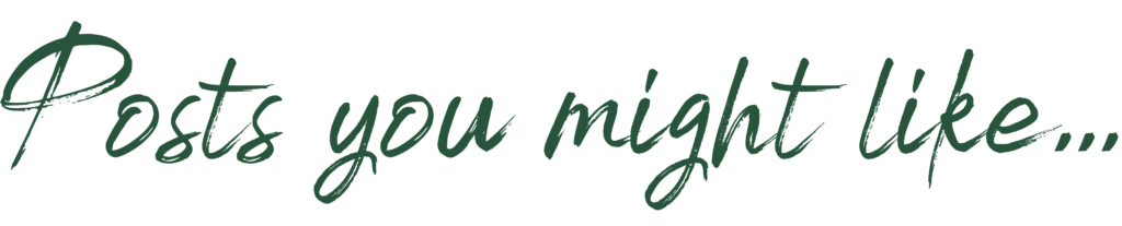 posts you might like