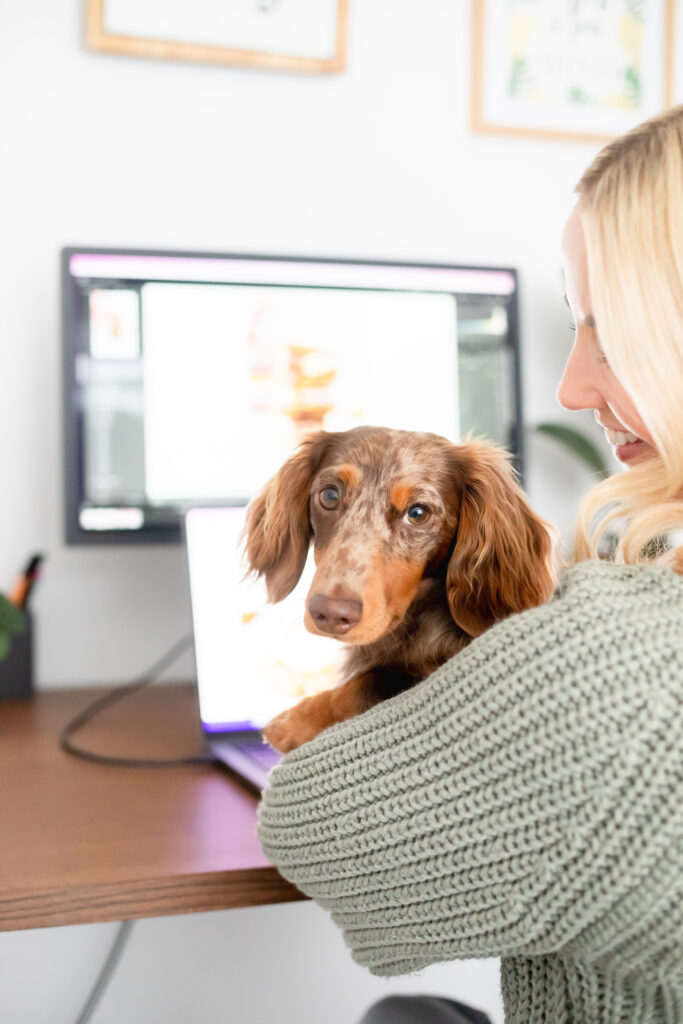 Jessie Bake Cakes at her desk with one of her dachshunds in her arms