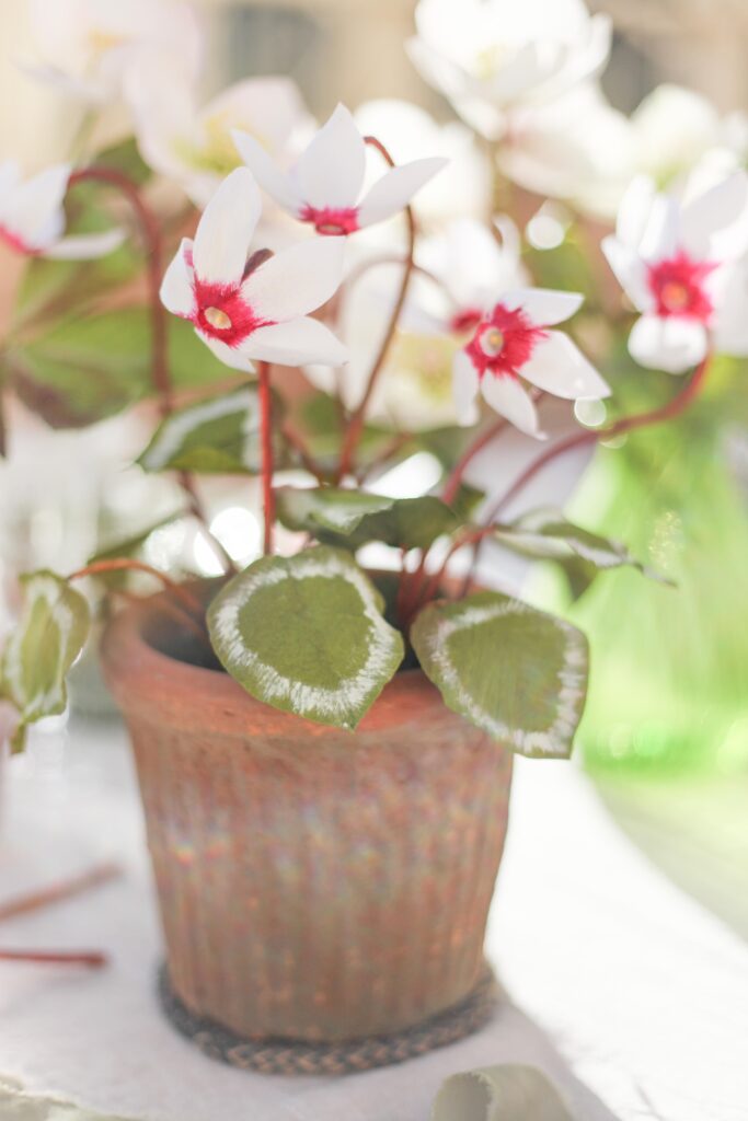 Handcrafted pot plant flowers by Krishanthi Armitt