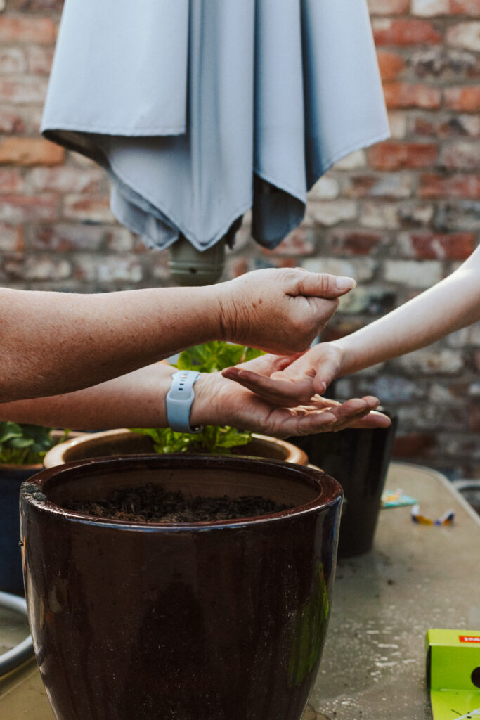 A photo by York family and brand photographer, Sarah Burton Photography, showing the hands of two generations of a family, planting seeds together outside