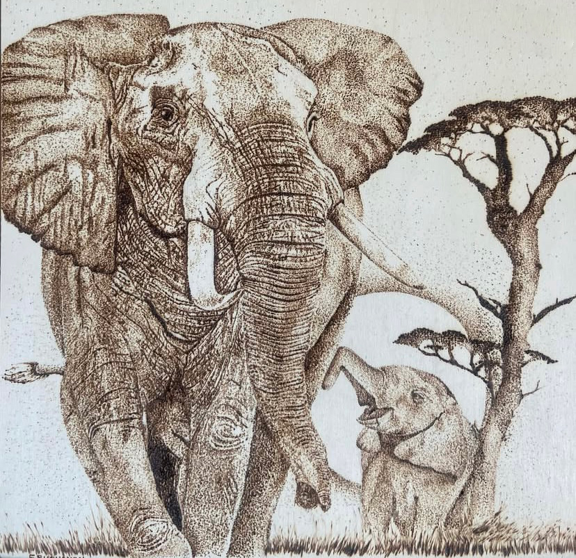Pyrography elephant portrait by Elaine Buchanan Art